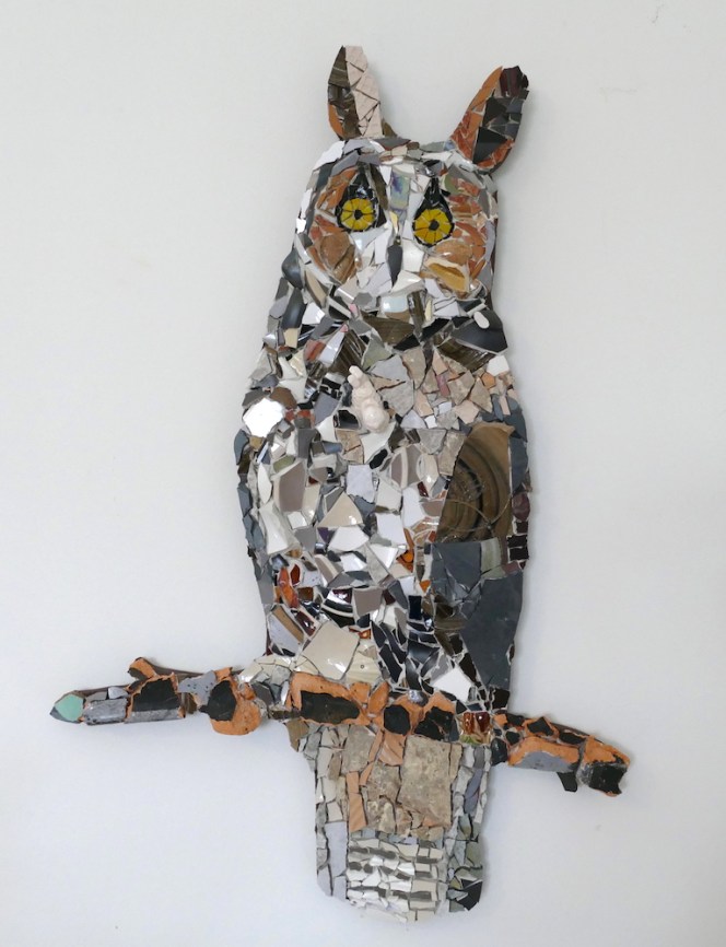 Long-eared Owl.jpg