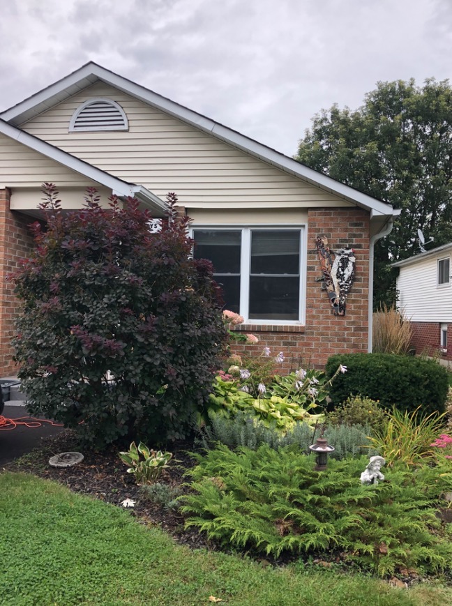 Screen Shot 2019-09-15 at 1.32.10 PM.jpg