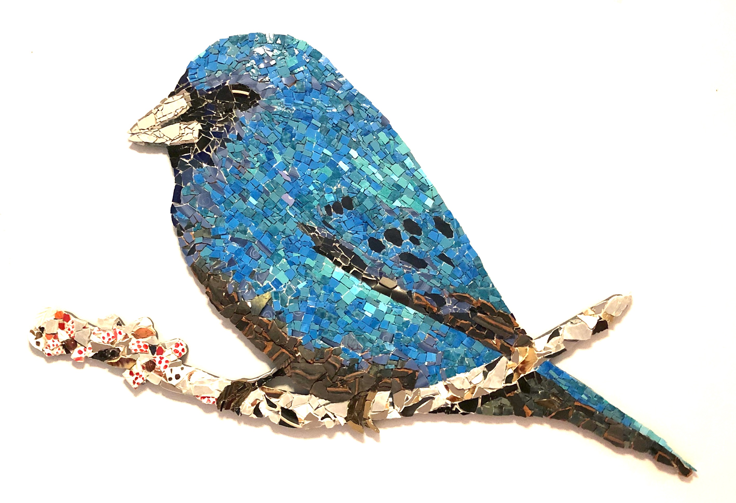 Indigo Bunting.jpg